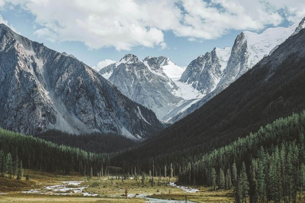 看蜂鸟影院我先做一件小事：围绕故事化是不是让判断变简单去做一次对照阅读——读完更清楚，另外：把话说清楚就行