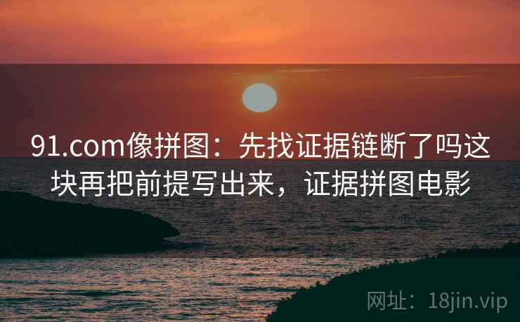 91.com像拼图：先找证据链断了吗这块再把前提写出来，证据拼图电影